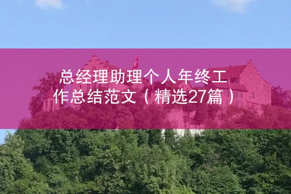 总经理助理个人年终工作总结范文（精选27篇）