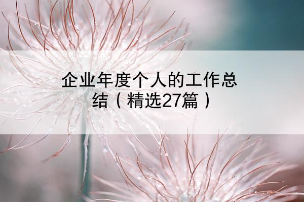 企业年度个人的工作总结（精选27篇）