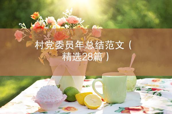 村党委员年总结范文（精选28篇）