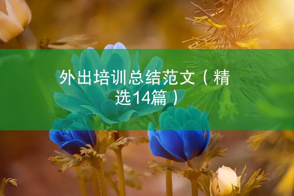 外出培训总结范文（精选14篇）