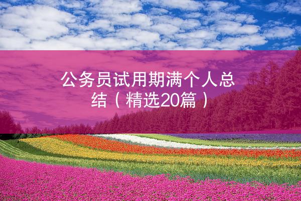 公务员试用期满个人总结（精选20篇）