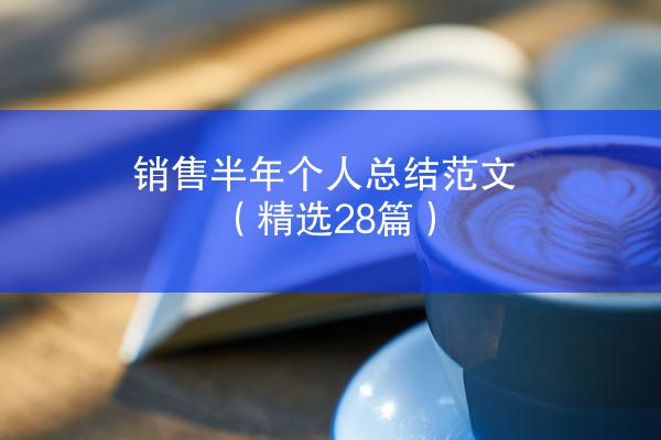 销售半年个人总结范文（精选28篇）