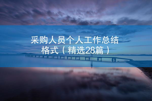 采购人员个人工作总结格式（精选28篇）