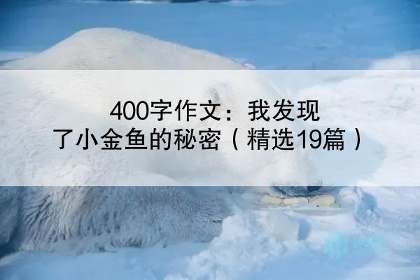 400字作文：我发现了小金鱼的秘密（精选19篇）