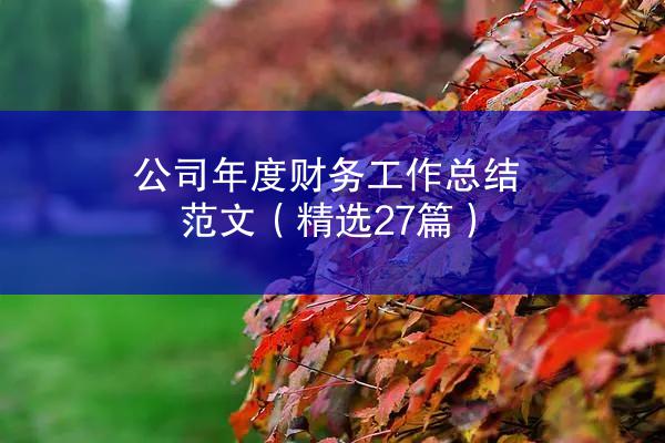 公司年度财务工作总结范文（精选27篇）