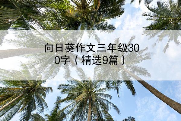 向日葵作文三年级300字（精选9篇）