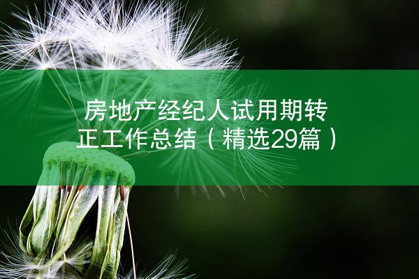 房地产经纪人试用期转正工作总结（精选29篇）