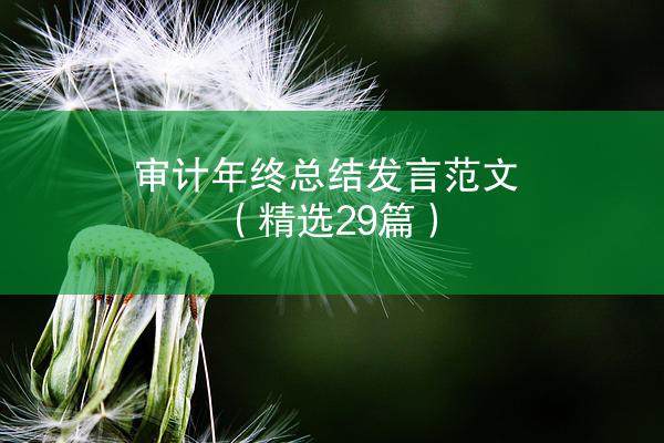 审计年终总结发言范文（精选29篇）