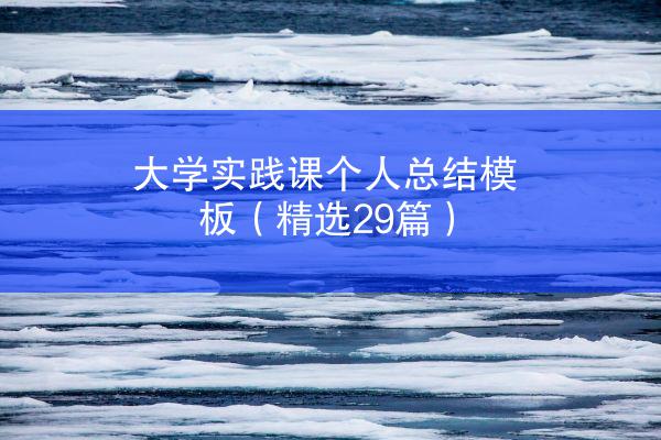 大学实践课个人总结模板（精选29篇）