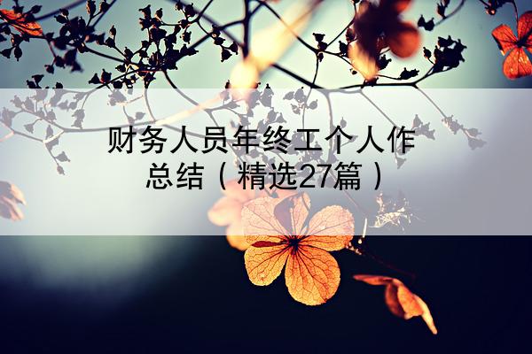 财务人员年终工个人作总结（精选27篇）