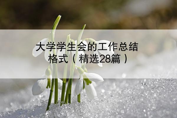 大学学生会的工作总结格式（精选28篇）