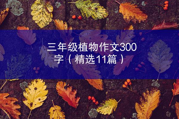 三年级植物作文300字（精选11篇）