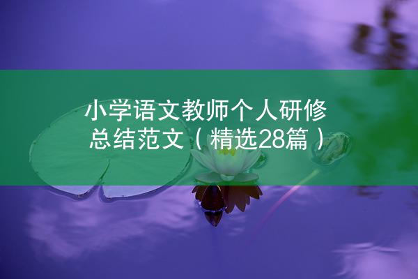 小学语文教师个人研修总结范文（精选28篇）