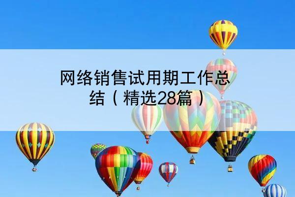 网络销售试用期工作总结（精选28篇）