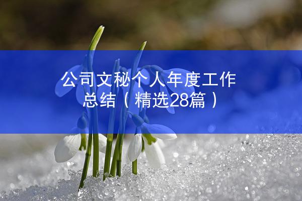 公司文秘个人年度工作总结（精选28篇）