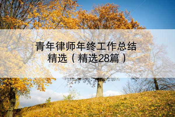 青年律师年终工作总结精选（精选28篇）