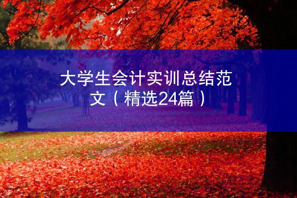 大学生会计实训总结范文（精选24篇）