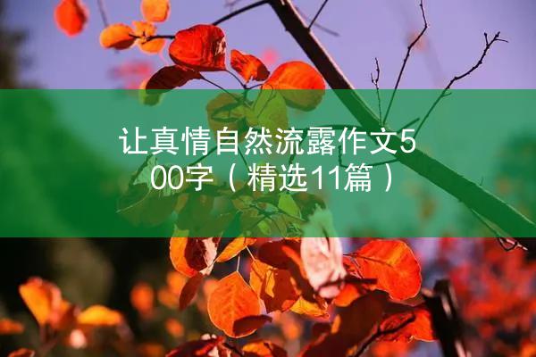 让真情自然流露作文500字（精选11篇）