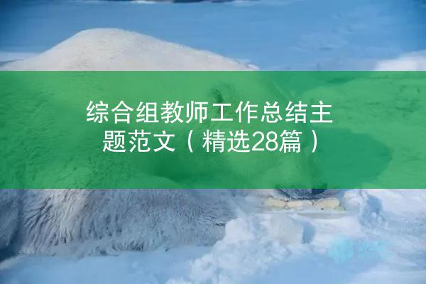 综合组教师工作总结主题范文（精选28篇）