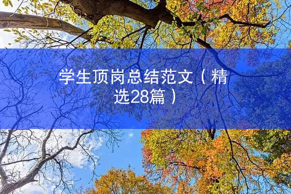 学生顶岗总结范文（精选28篇）