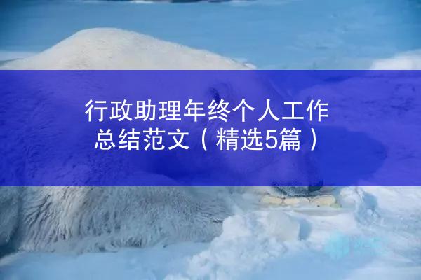 行政助理年终个人工作总结范文（精选5篇）