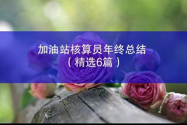 加油站核算员年终总结（精选6篇）