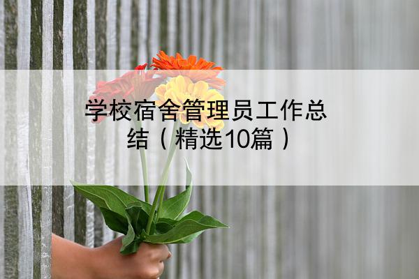 学校宿舍管理员工作总结（精选10篇）