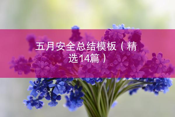 五月安全总结模板（精选14篇）