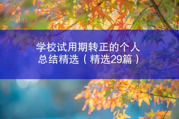 学校试用期转正的个人总结精选（精选29篇）