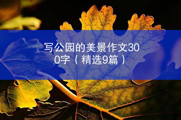 写公园的美景作文300字（精选9篇）