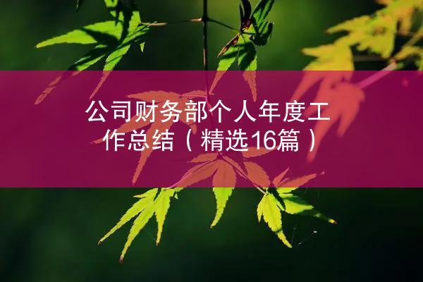 公司财务部个人年度工作总结（精选16篇）