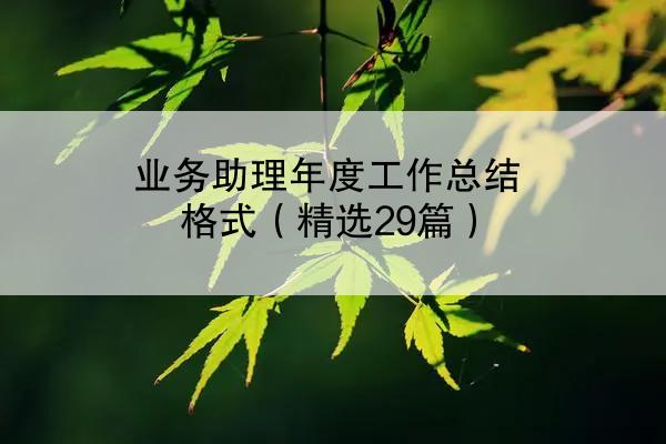 业务助理年度工作总结格式（精选29篇）