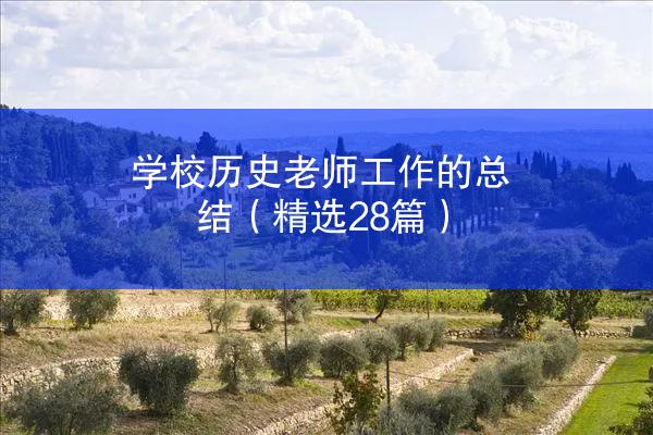 学校历史老师工作的总结（精选28篇）