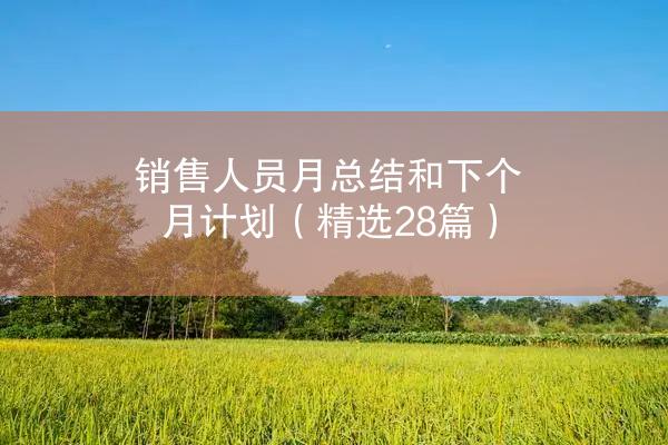 销售人员月总结和下个月计划（精选28篇）