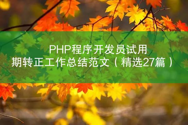 PHP程序开发员试用期转正工作总结范文（精选27篇）