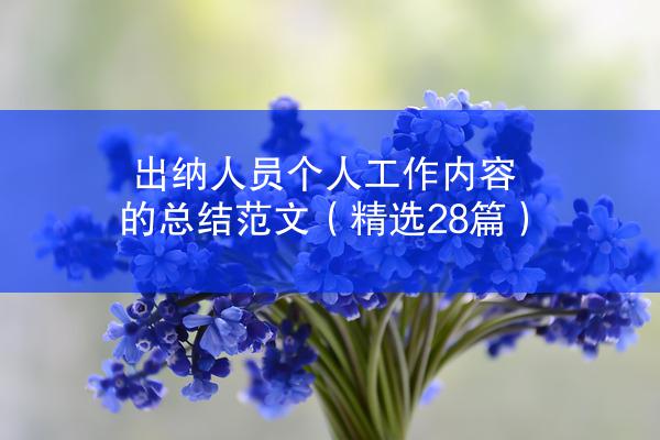 出纳人员个人工作内容的总结范文（精选28篇）