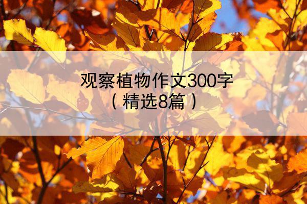 观察植物作文300字（精选8篇）