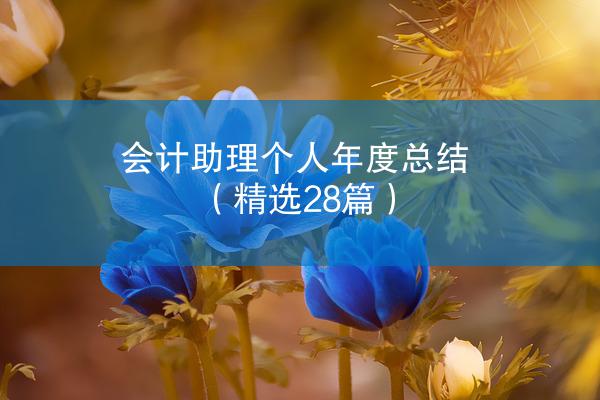 会计助理个人年度总结（精选28篇）