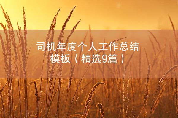 司机年度个人工作总结模板（精选9篇）