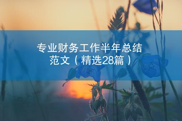 专业财务工作半年总结范文（精选28篇）