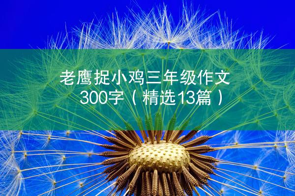 老鹰捉小鸡三年级作文300字（精选13篇）