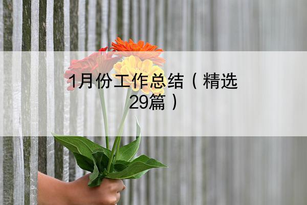 1月份工作总结（精选29篇）