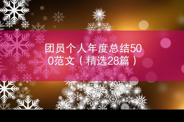 团员个人年度总结500范文（精选28篇）