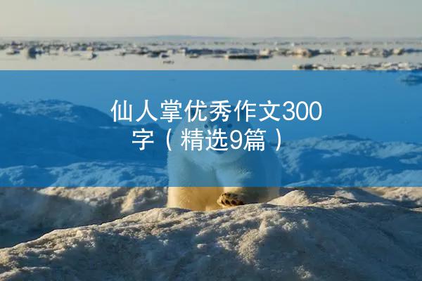 仙人掌优秀作文300字（精选9篇）