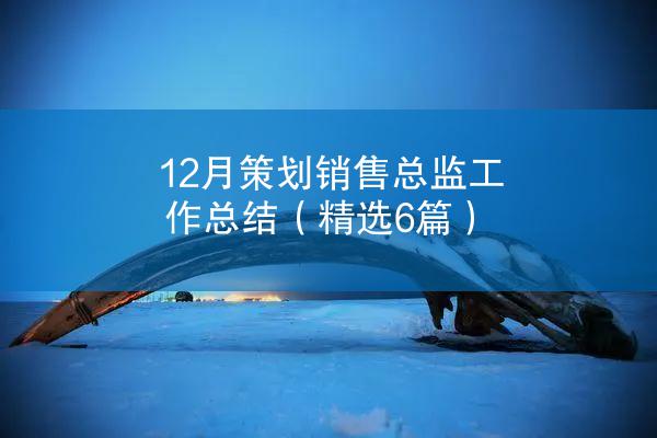 12月策划销售总监工作总结（精选6篇）