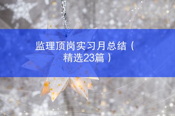 监理顶岗实习月总结（精选23篇）