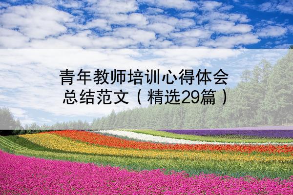 青年教师培训心得体会总结范文（精选29篇）