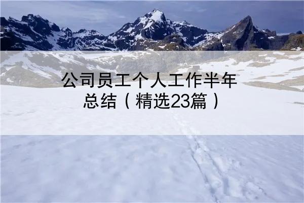 公司员工个人工作半年总结（精选23篇）