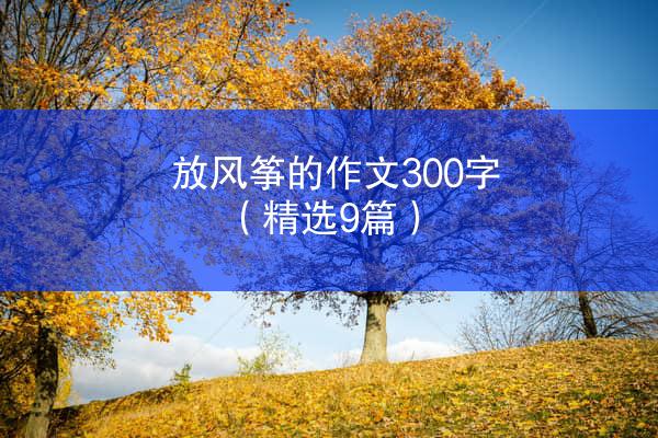 放风筝的作文300字（精选9篇）