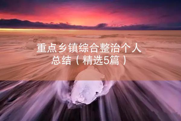 重点乡镇综合整治个人总结（精选5篇）